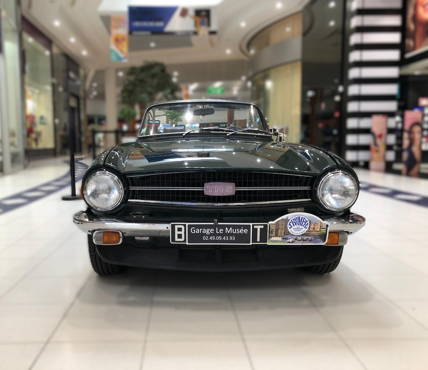 triumph-tr6-essence-annee-1974-25-900